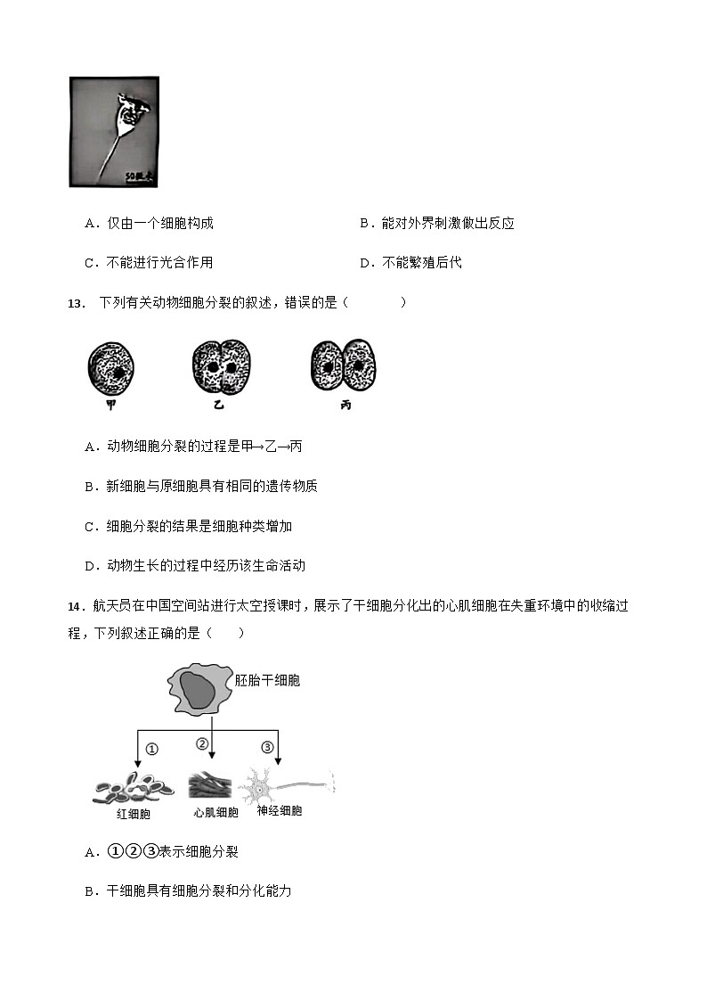 北京市朝阳区2025-2026学年上学期七年级生物期末巩固练习试卷B（含答案）第3页
