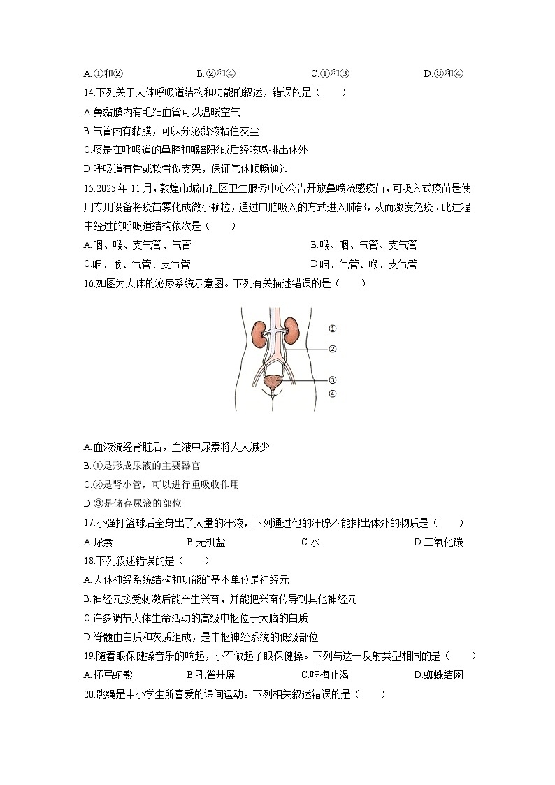 2025-2026学年甘肃省酒泉市肃州区八年级上学期期末生物试卷（学生版）第3页