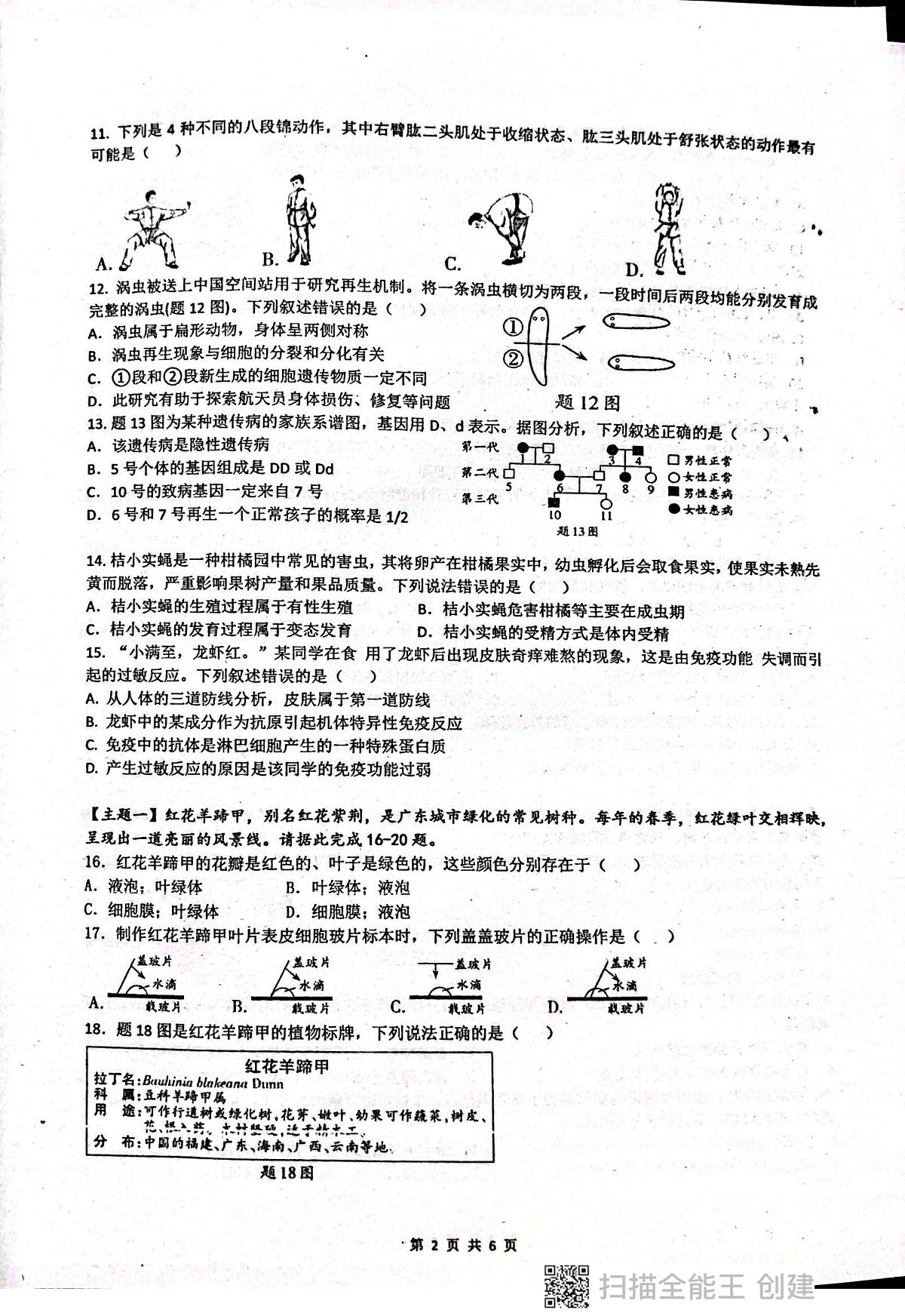 广东省揭阳市惠来县第一中学2025-2026学年九年级上学期1月期末生物试题第2页
