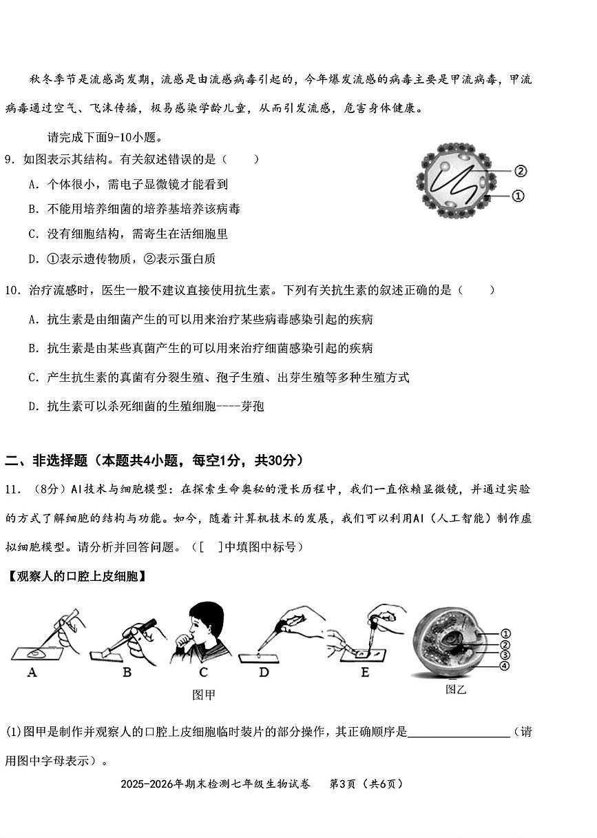 湖北省黄石市下陆区2025-2026学年七年级上学期1月期末生物试题第3页