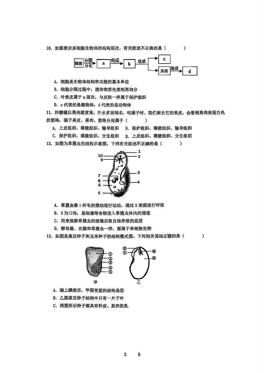 西安市雁塔区西安交通大学附属中学2025-2026学年第一学期期末考试七年级生物试题第3页