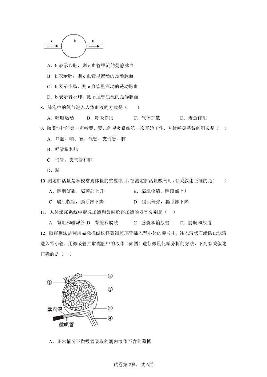 2025-2026学年八年级上学期12月月考生物复习作业试题（有答案）第2页