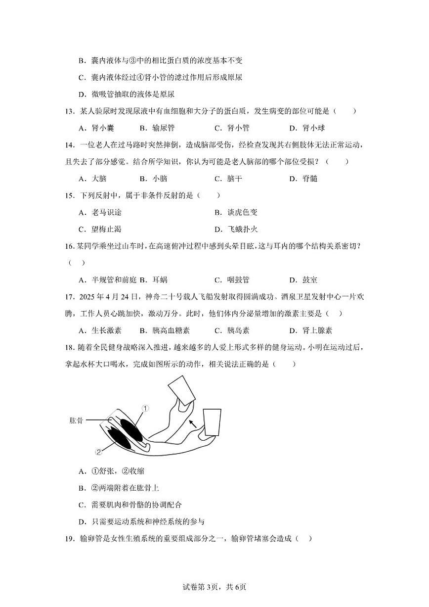 2025-2026学年八年级上学期12月月考生物复习作业试题（有答案）第3页