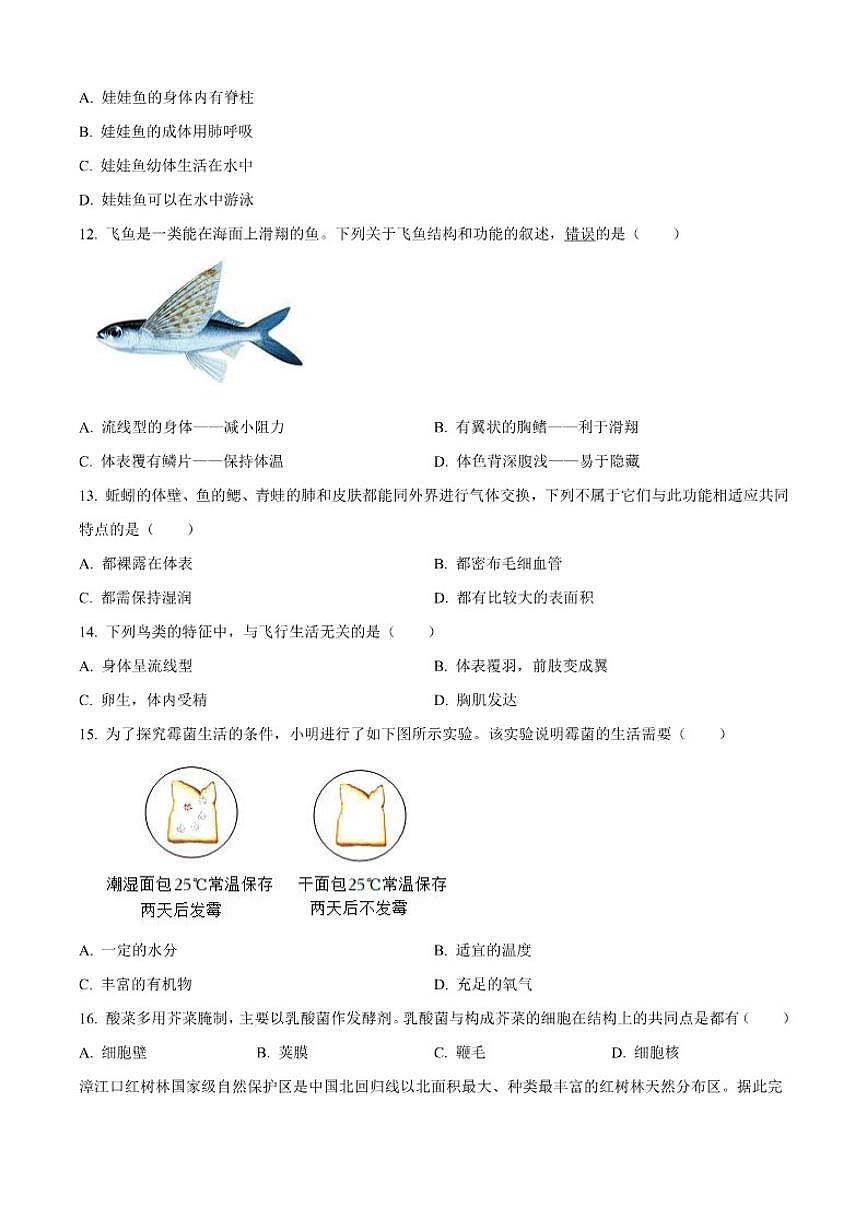 2025-2026学年福建省漳州市芗城区第三中学七年级上学期月考生物试题（三）（有答案）第3页