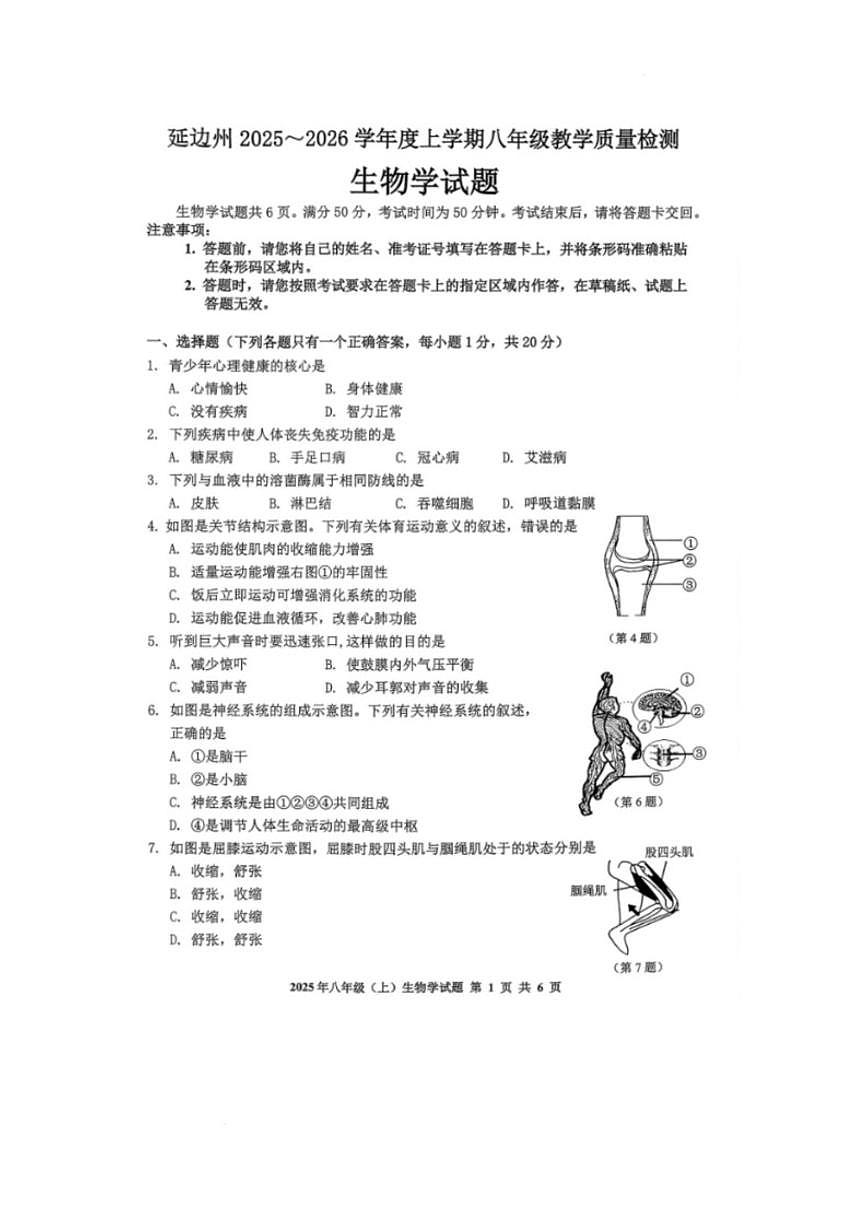 2025-2026学年吉林省延边州八年级上学期期末考试生物试卷（有答案）第1页