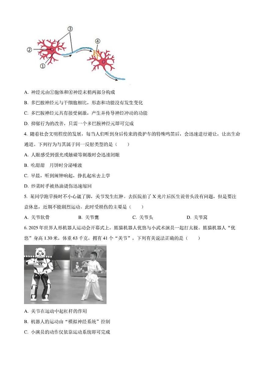 2025-2026学年河南省鹤壁市多校联考八年级上学期期中生物试题（有答案）第2页