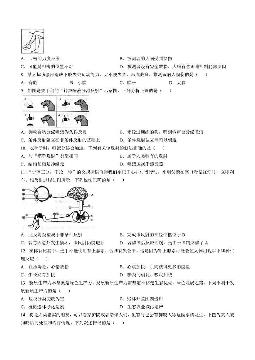 2024-2025学年山东省烟台市莱山区七年级下学期期末生物学试题（有答案）第2页