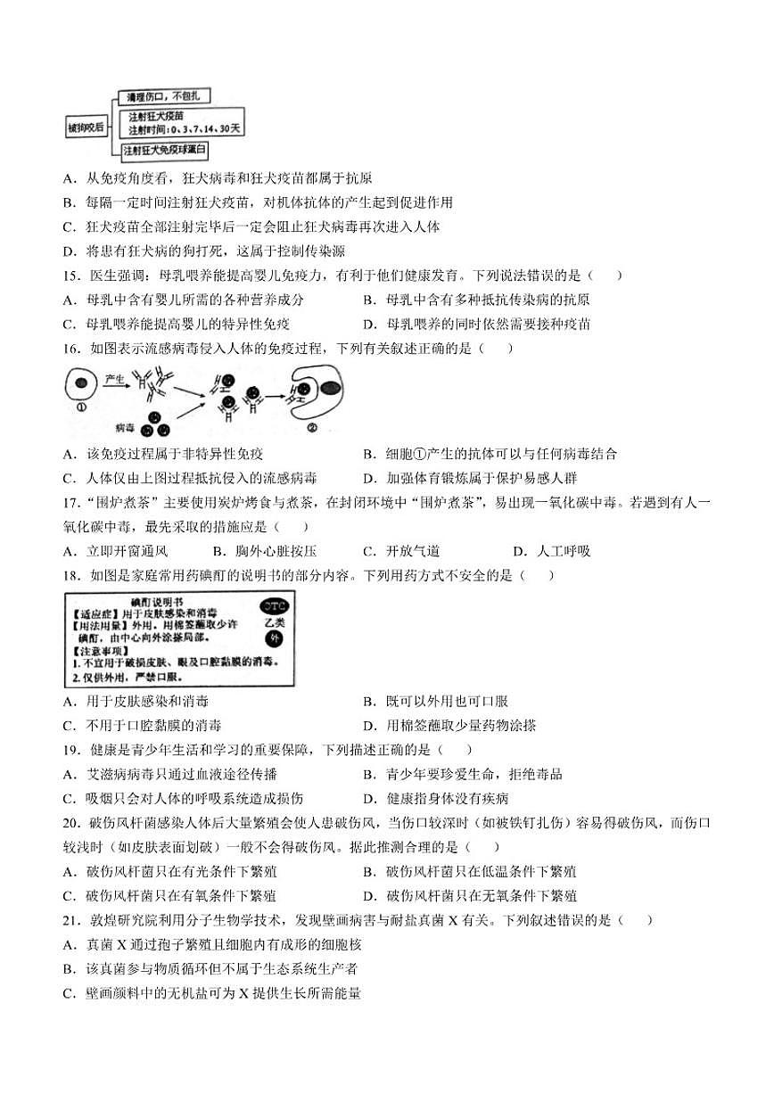 2024-2025学年山东省烟台市莱山区七年级下学期期末生物学试题（有答案）第3页