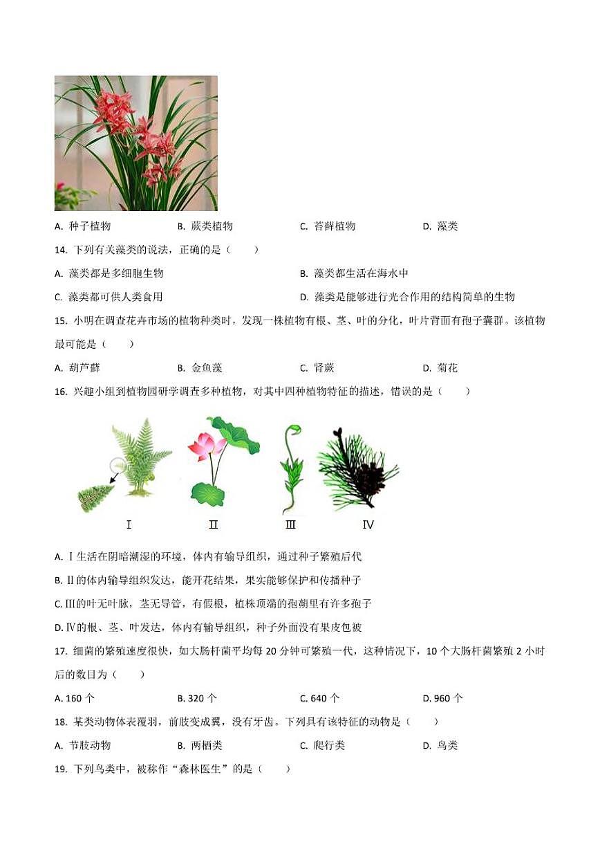2025-2026学年河北省邢台市任泽区七年级上学期12月月考生物试卷（有答案）第3页