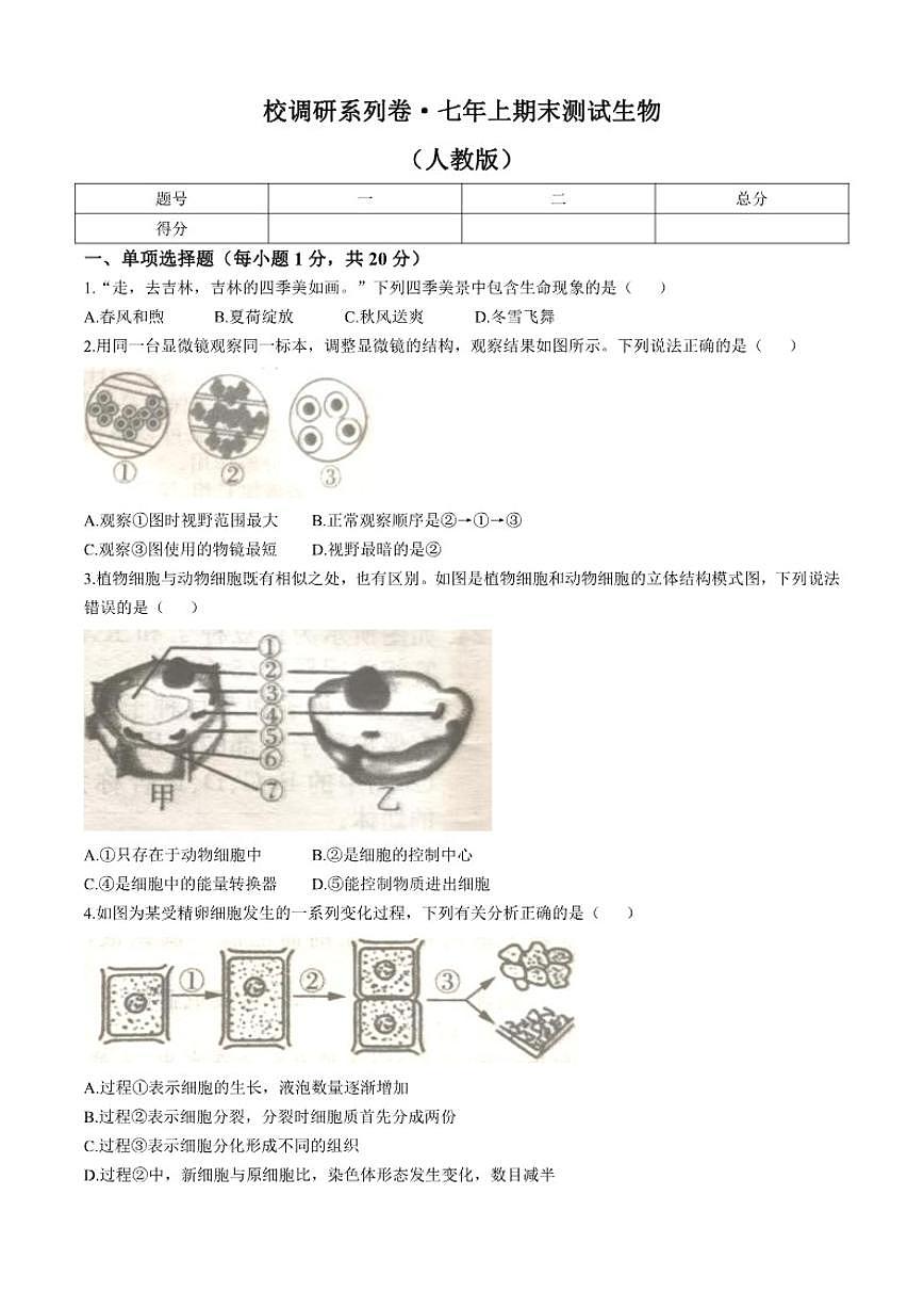 2024-2025学年吉林省长春市榆树市第二实验中学七年级上学期期末生物学试题（有答案）第1页