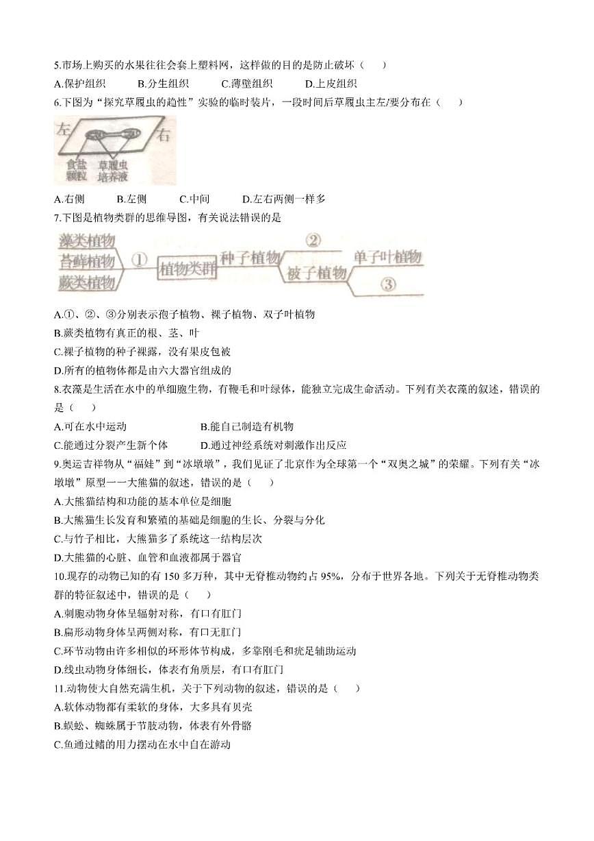 2024-2025学年吉林省长春市榆树市第二实验中学七年级上学期期末生物学试题（有答案）第2页