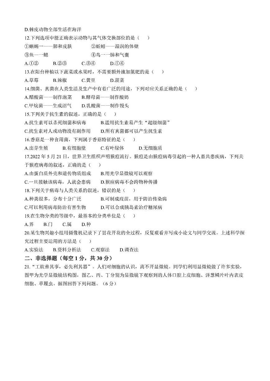 2024-2025学年吉林省长春市榆树市第二实验中学七年级上学期期末生物学试题（有答案）第3页