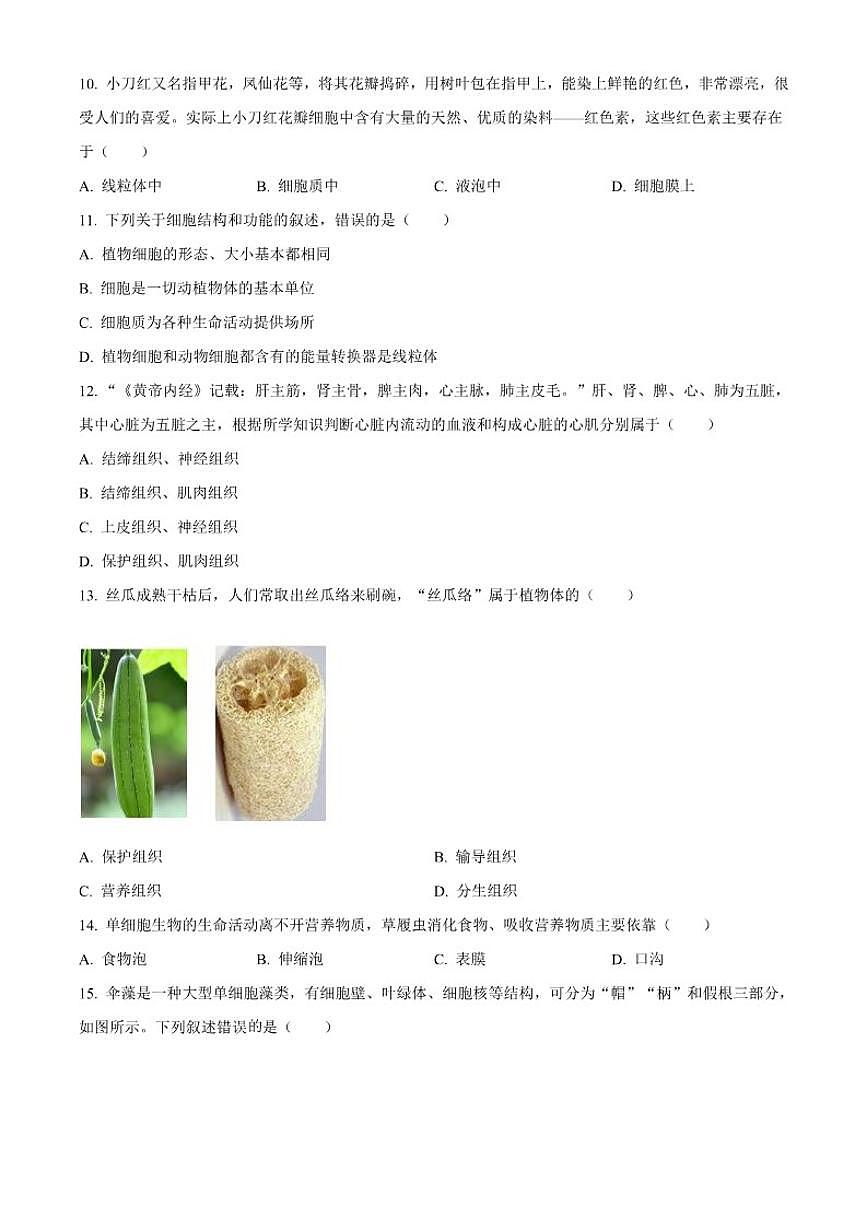 2025-2026学年河南省漯河市舞阳县七年级上学期期中生物试题（有答案）第3页