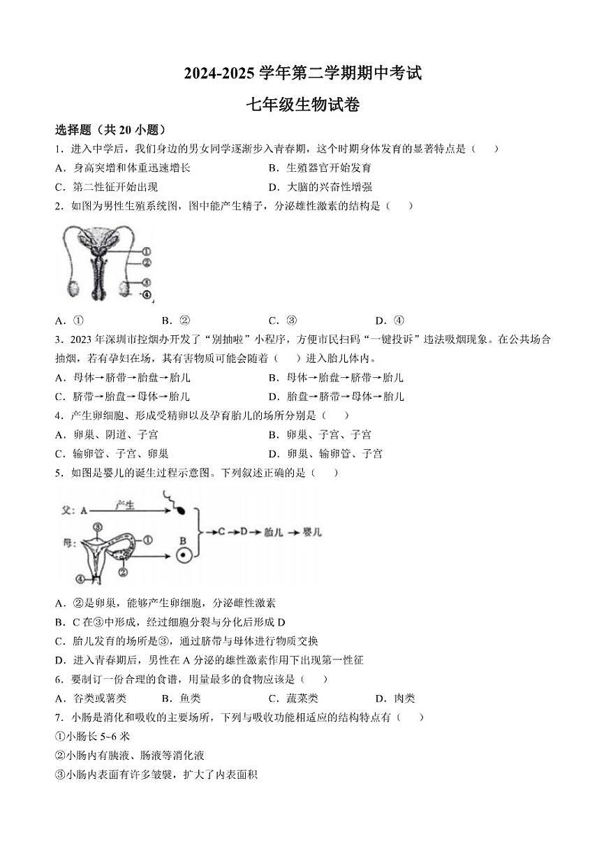 2024-2025学年江西省赣州市兴国县第五中学七年级下学期期中生物试题（有答案）第1页