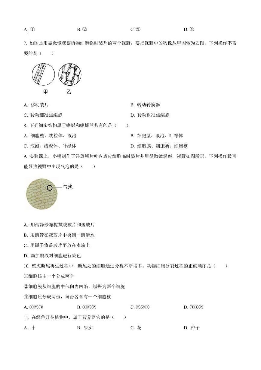 2025-2026学年吉林省长春市博硕学校七年级上学期期中生物试题（有答案）第2页