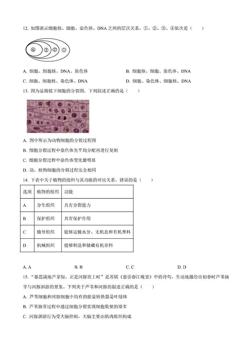 2025-2026学年吉林省长春市博硕学校七年级上学期期中生物试题（有答案）第3页