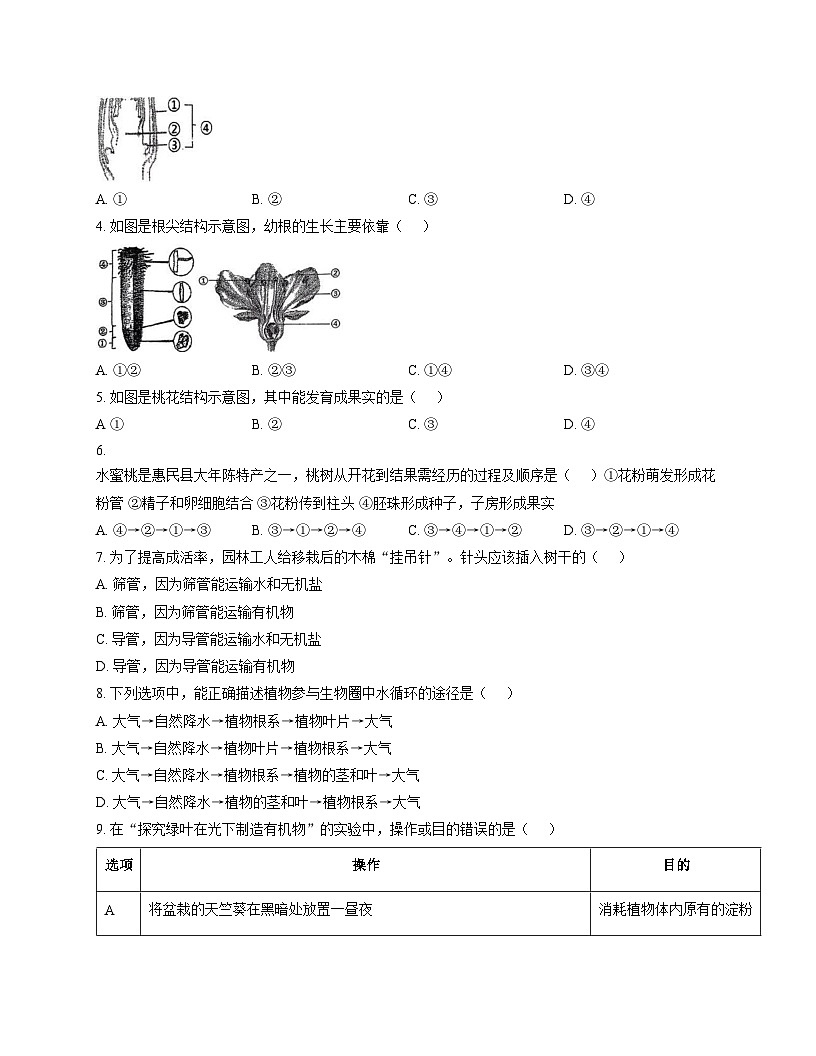 广东省揭阳市第二实验中学2025_2026学年九年级上学期第二次月考生物试卷（文字版，含答案）第2页