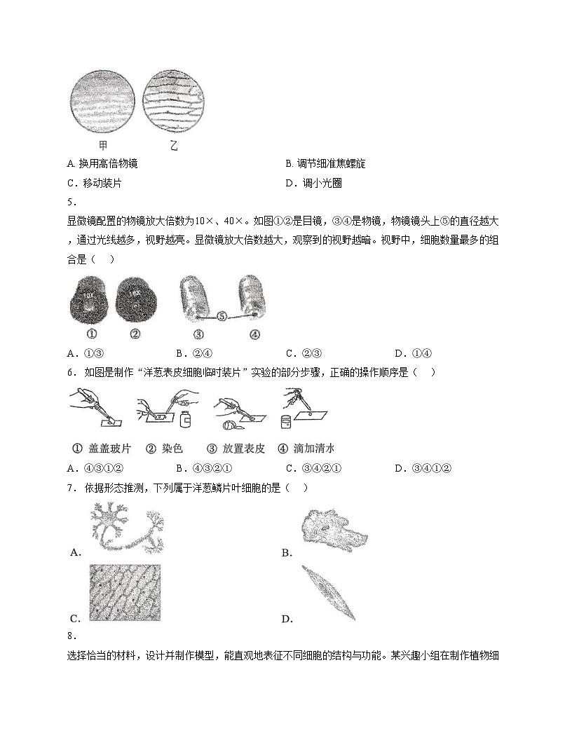山东省济南市槐荫区恒远学校2025_2026学年七年级上学期12月月考生物试题（文字版，含答案）第2页