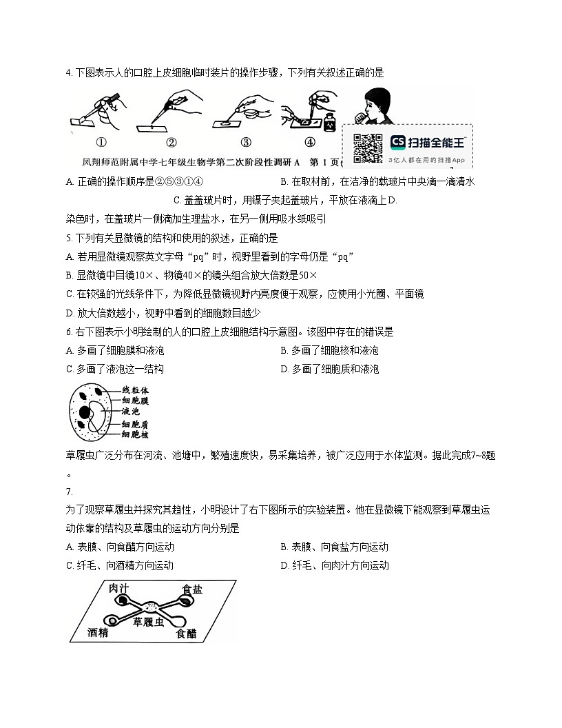 陕西省宝鸡市凤翔师范附属中学2025_2026学年七年级上学期第二次月考生物试题（文字版，含答案）第2页