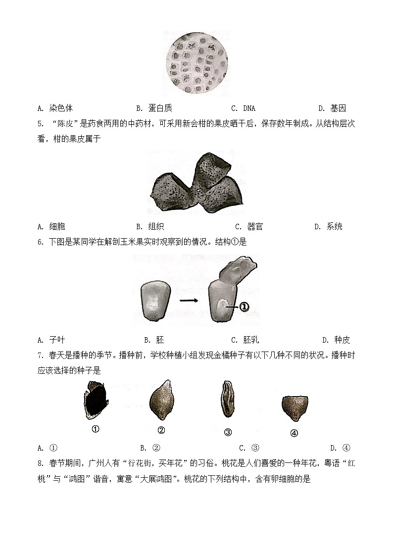 2024年广东省广州市初中学业水平考试生物学试题-A4第2页