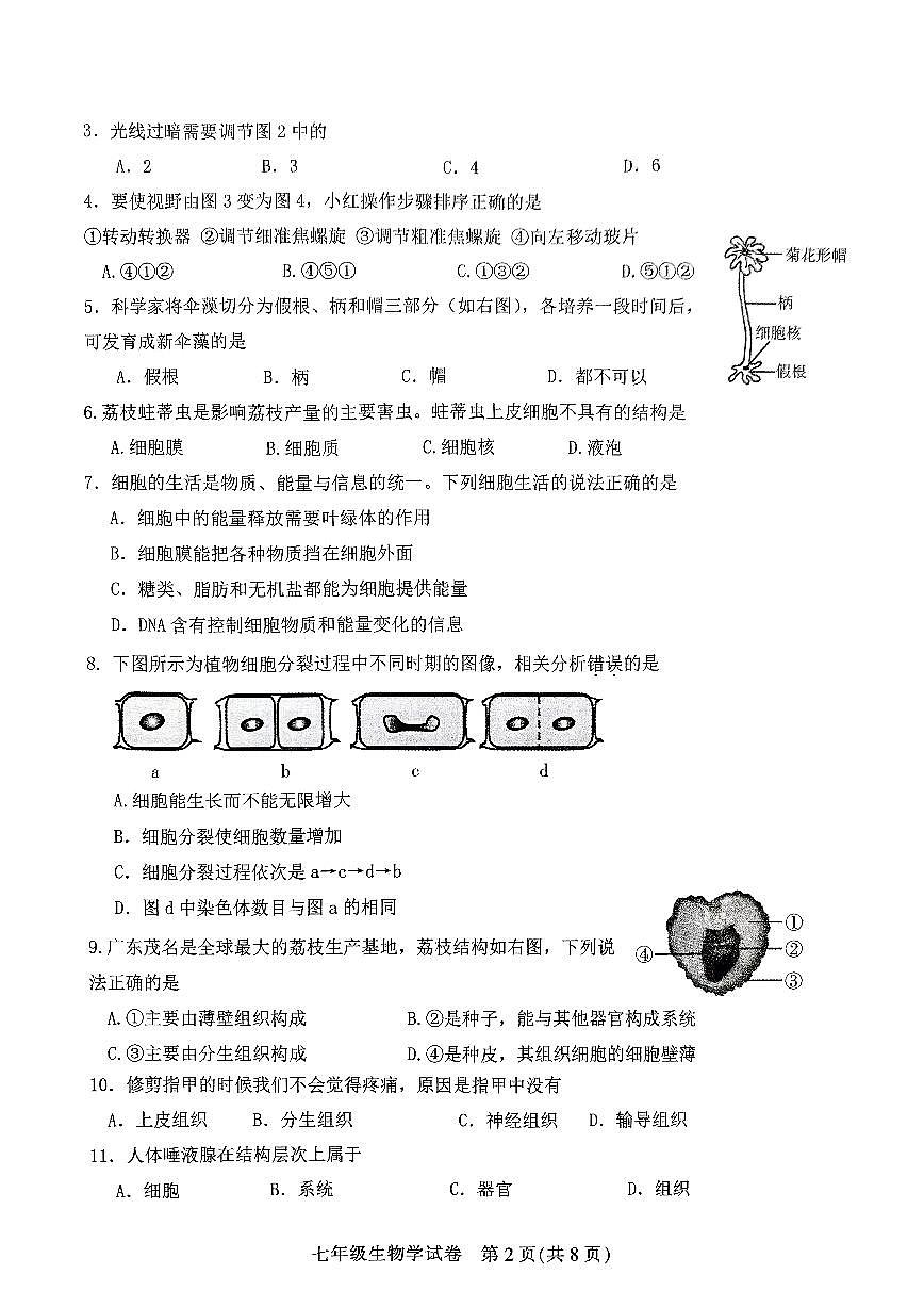 广东省茂名市直属学校七年级上学期期末考试生物试题第2页