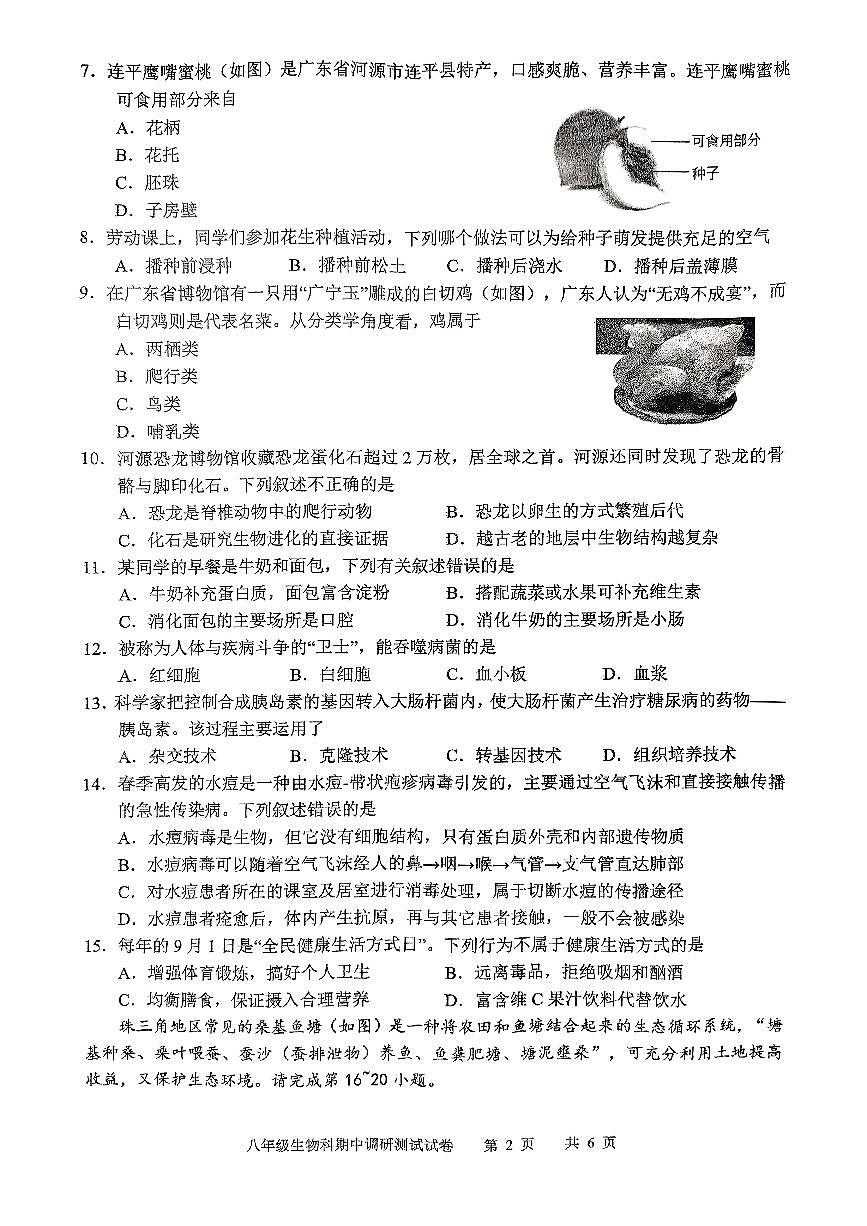 广东省湛江市徐闻县2024~2025学年八年级下学期期中教学调研测试生物试卷第2页