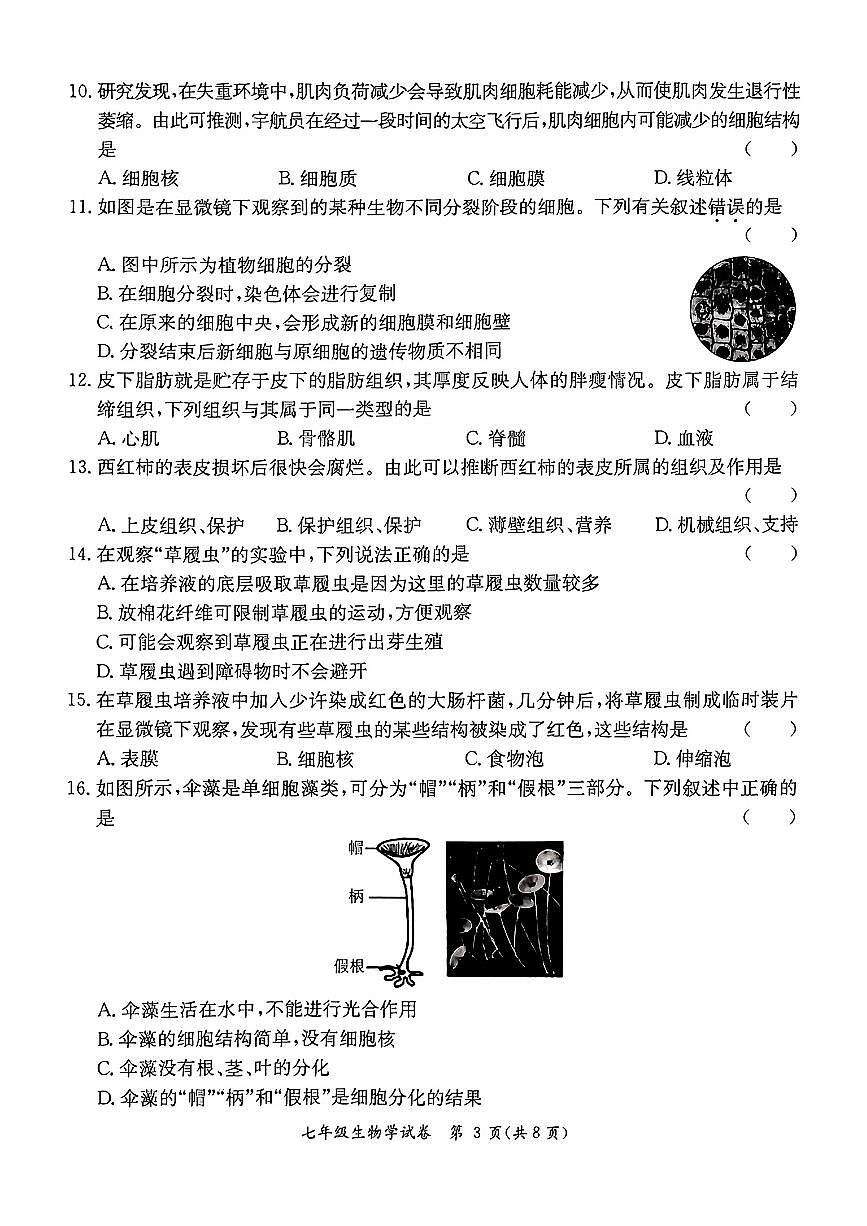 广东省河源市紫金县七年级上学期期末生物试题第3页