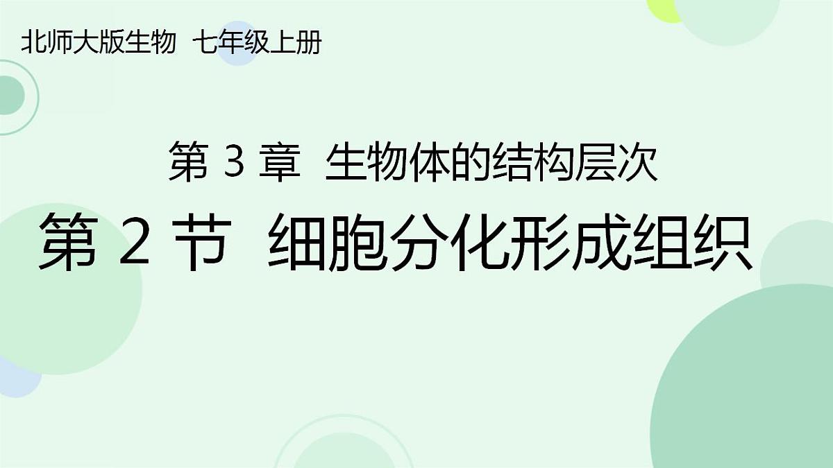 17867601第1页