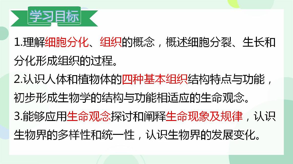 17867601第2页