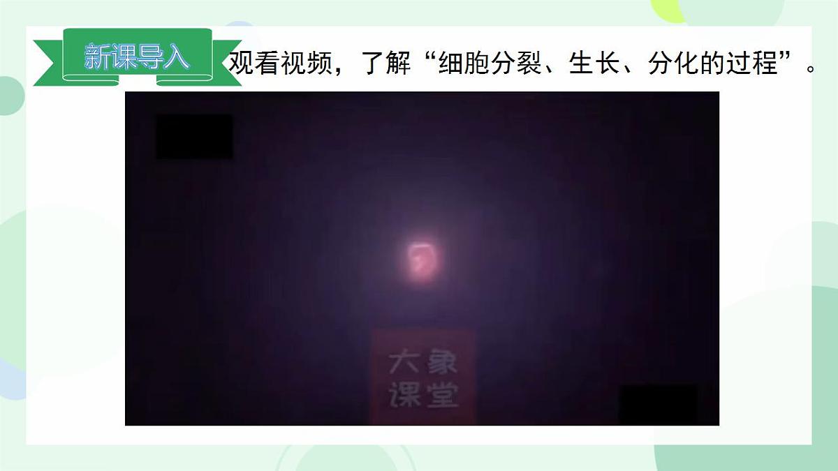 17867601第3页