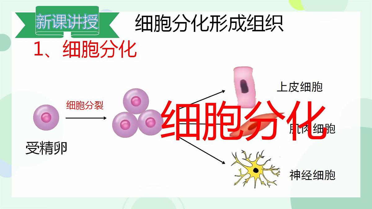 17867601第4页