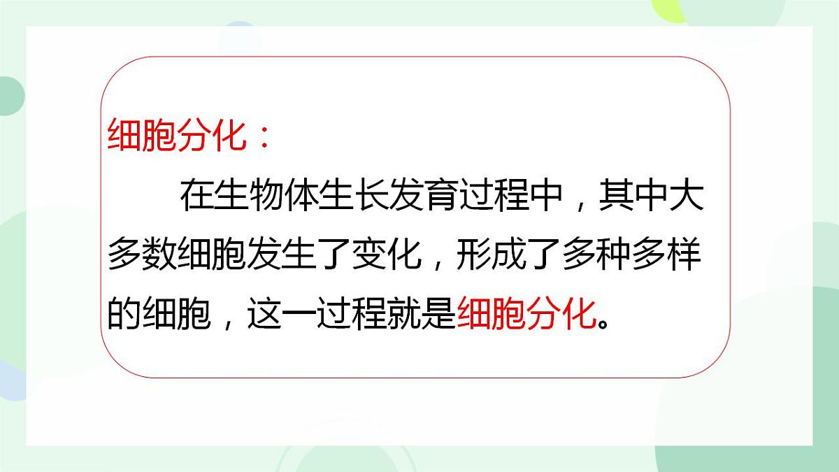 17867601第5页