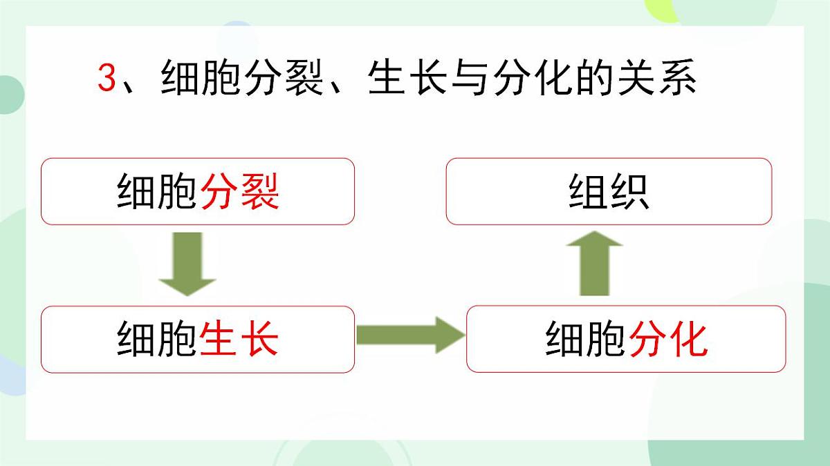 17867601第8页