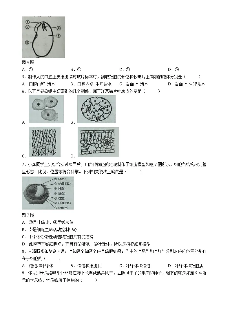 广东省阳江市七年级上学期期末生物试题-A4第2页