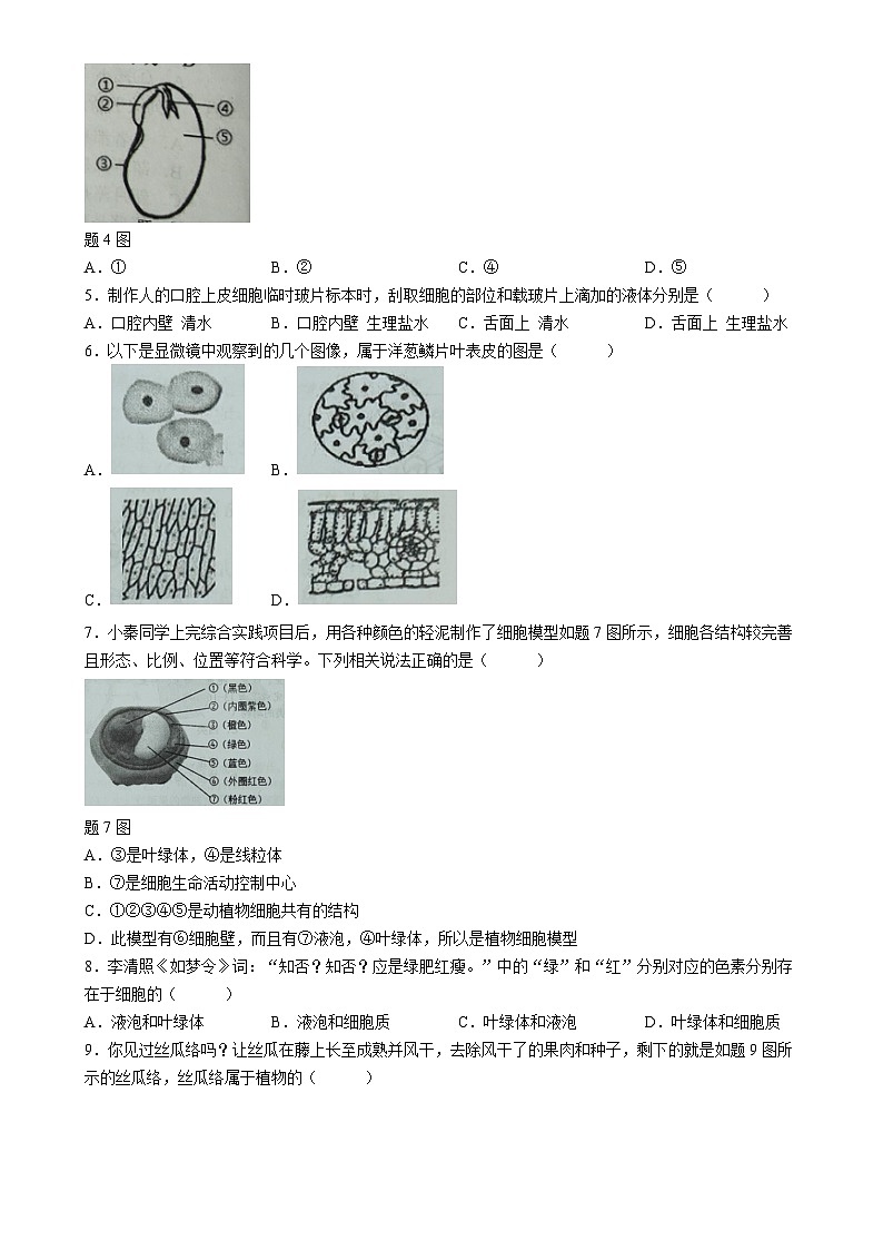 广东省阳江市七年级上学期期末生物试题-A4第2页