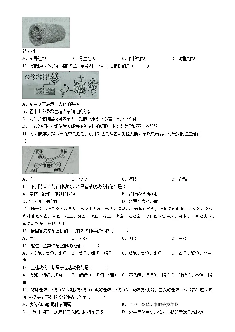 广东省阳江市七年级上学期期末生物试题-A4第3页