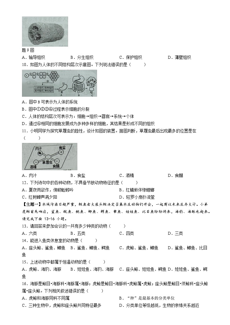 广东省阳江市七年级上学期期末生物试题-A4第3页
