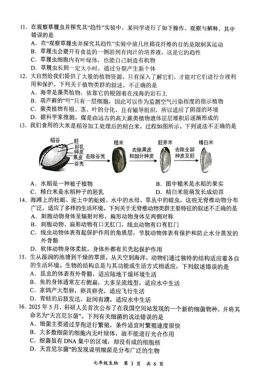 四川省宜宾市长宁县2025-2026学年七年级上学期1月期末生物试题第3页