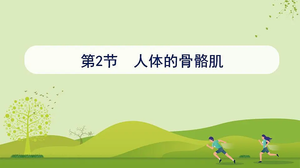 17868233第1页