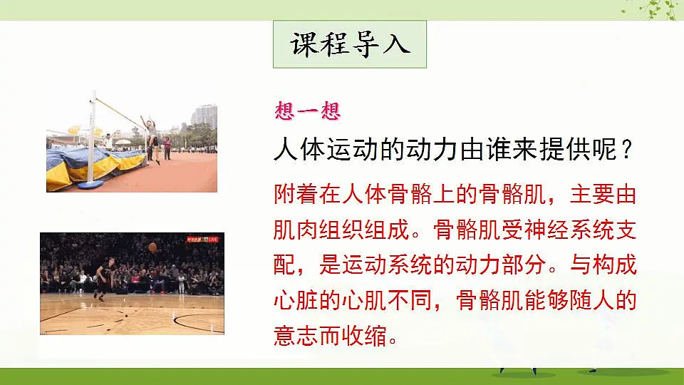 17868233第2页