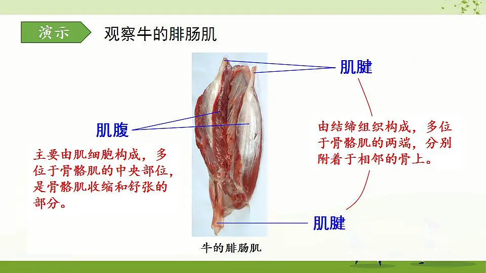17868233第4页