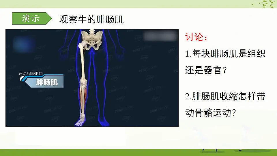 17868233第5页