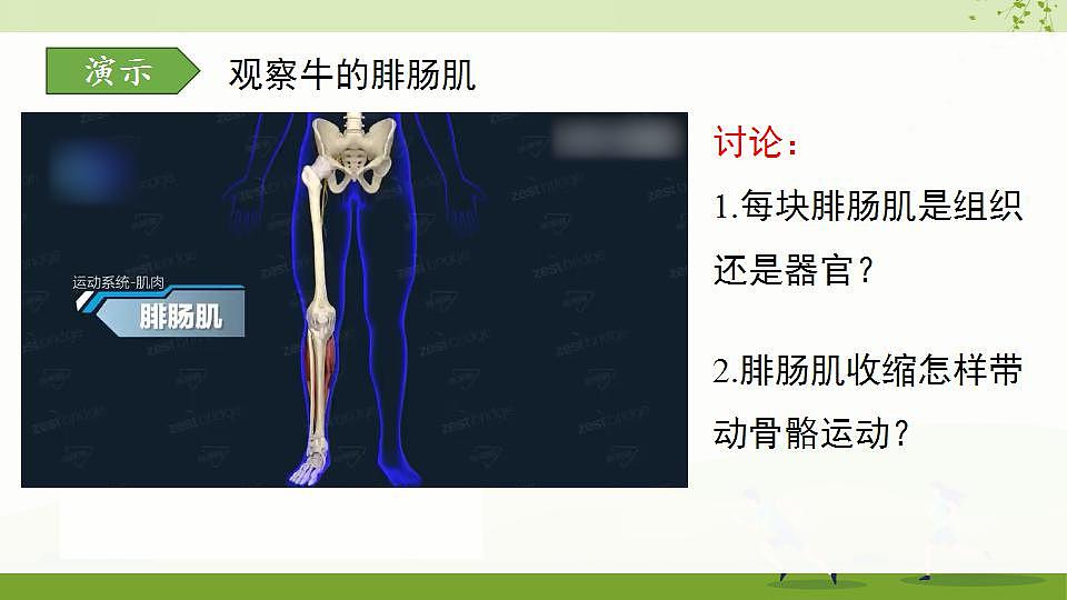 17868233第5页