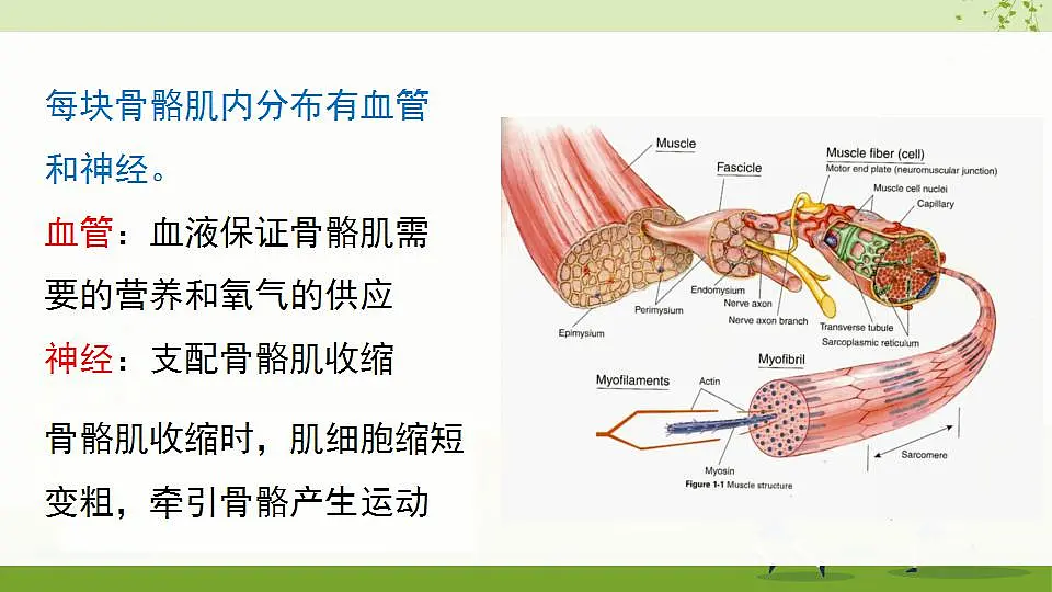 17868233第6页