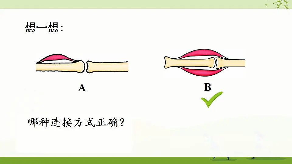 17868233第7页
