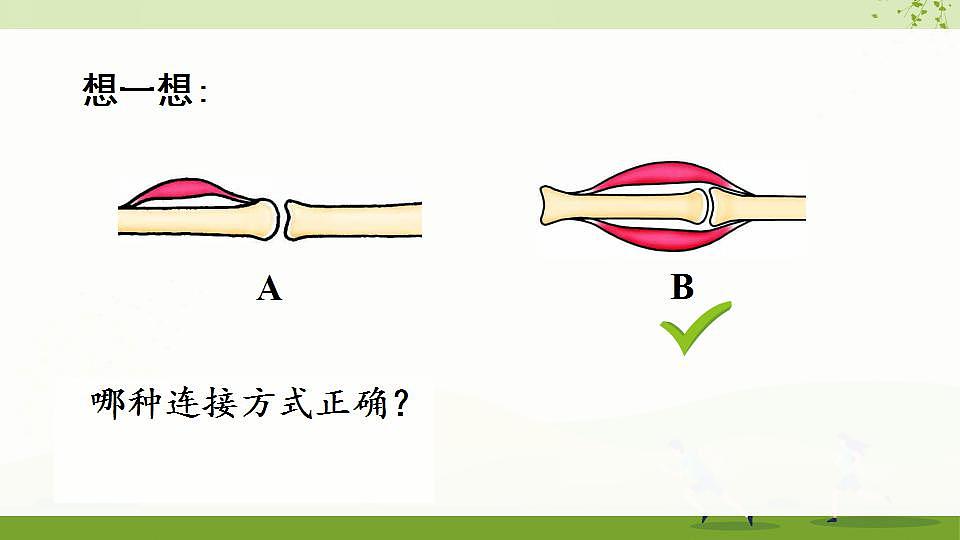 17868233第7页