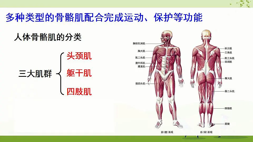 17868233第8页