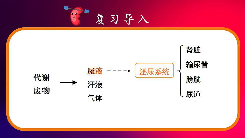 17868332第2页