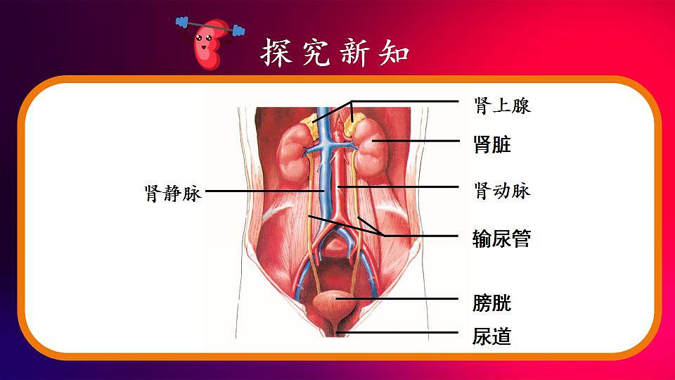 17868332第3页