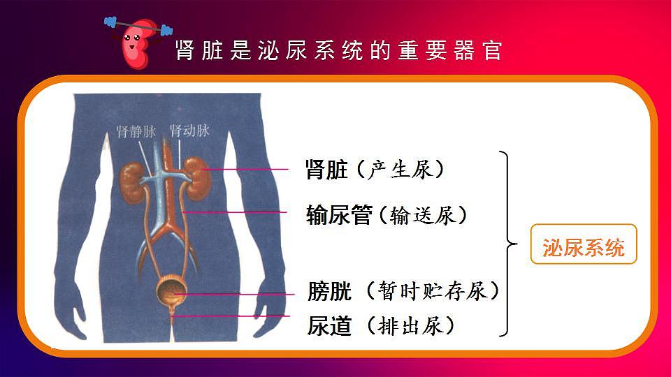 17868332第4页
